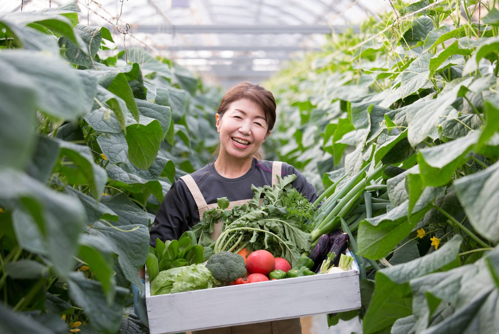 熟齡打工換宿全解析：我適合嗎？家人反對怎麼辦？釐清你最想知道的 10 個疑問