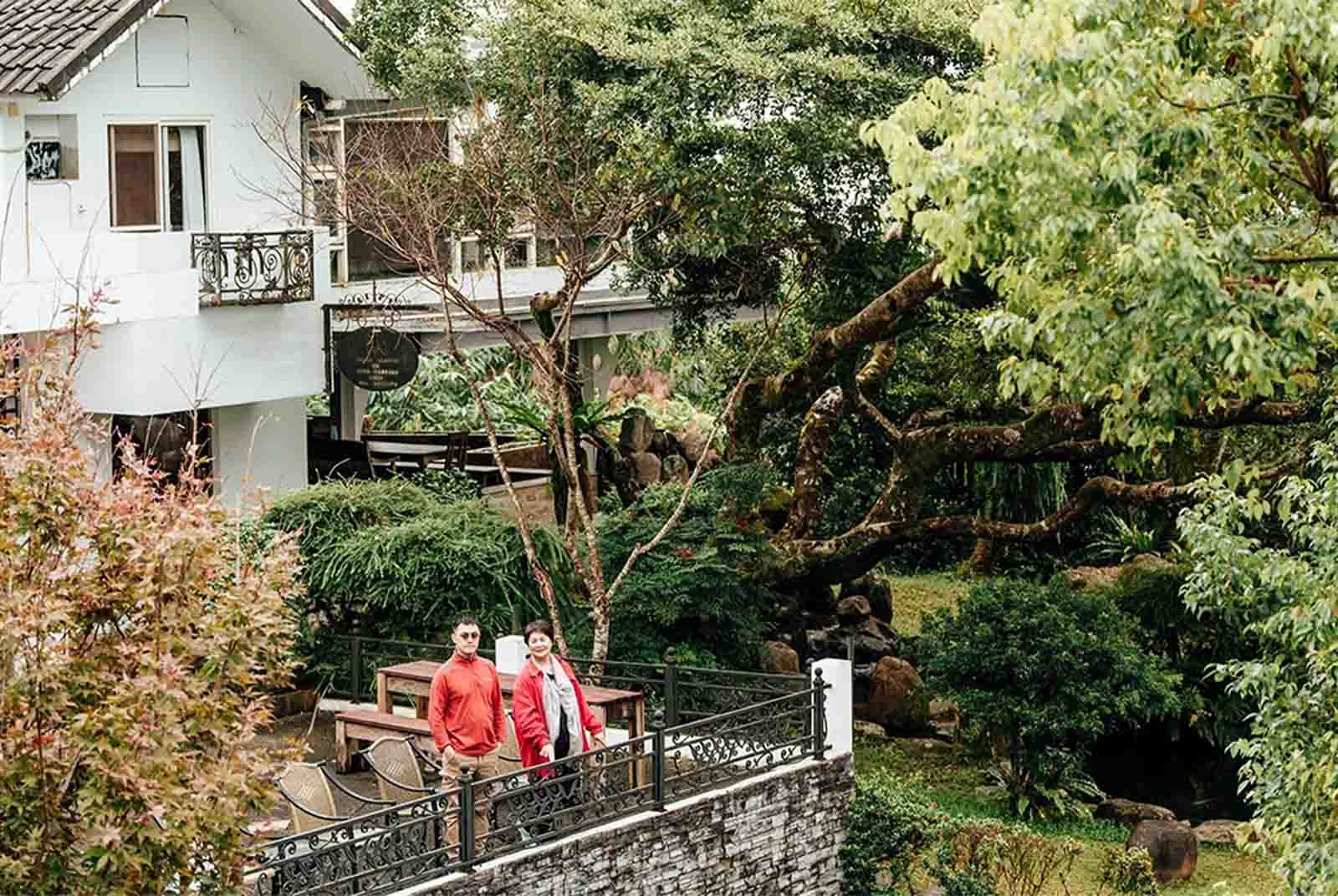 太平山腳下的生活美學，到宜蘭大同逢春園喝茶、品味嵩屋創意料理