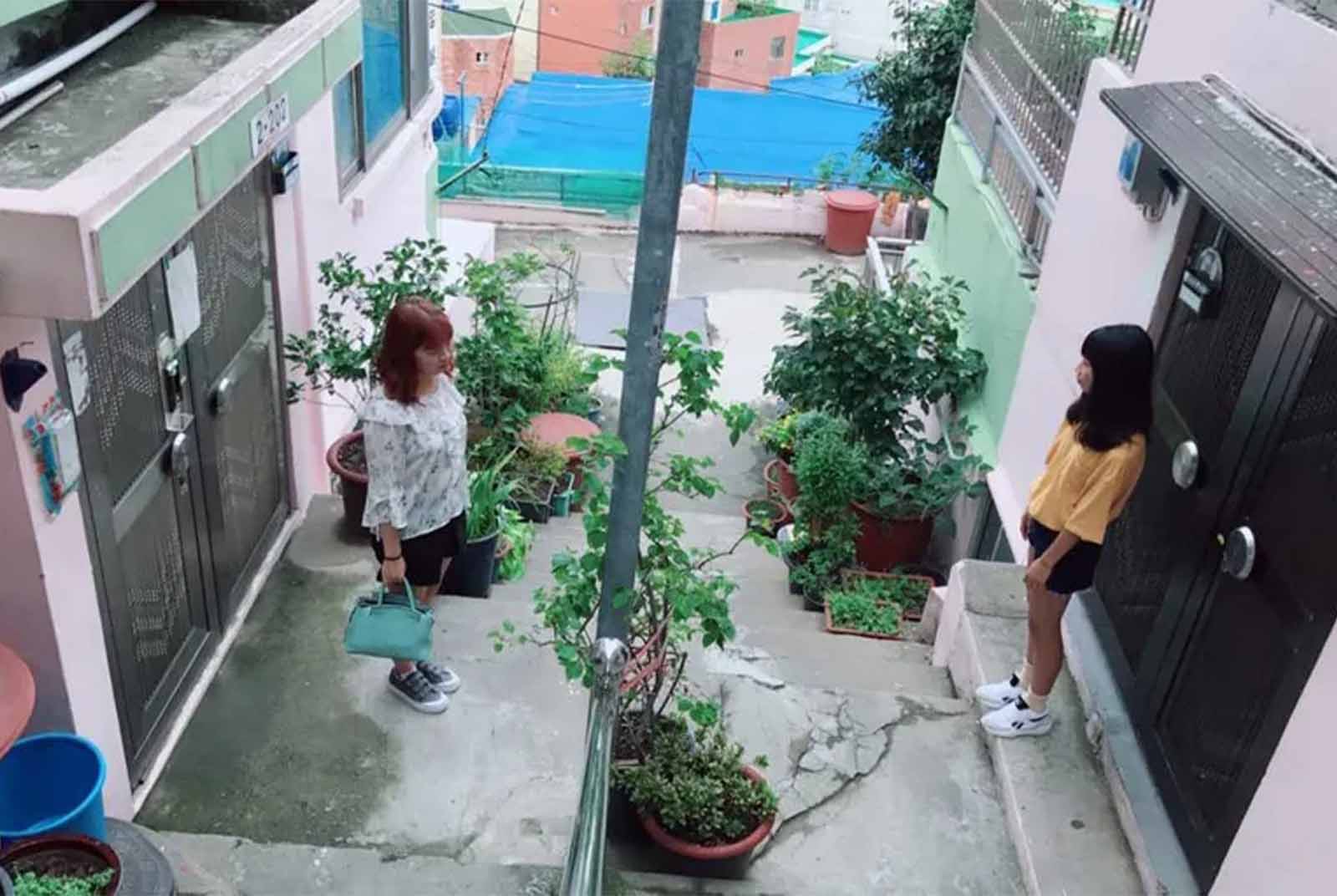 打工換宿-韓國-人生-工作