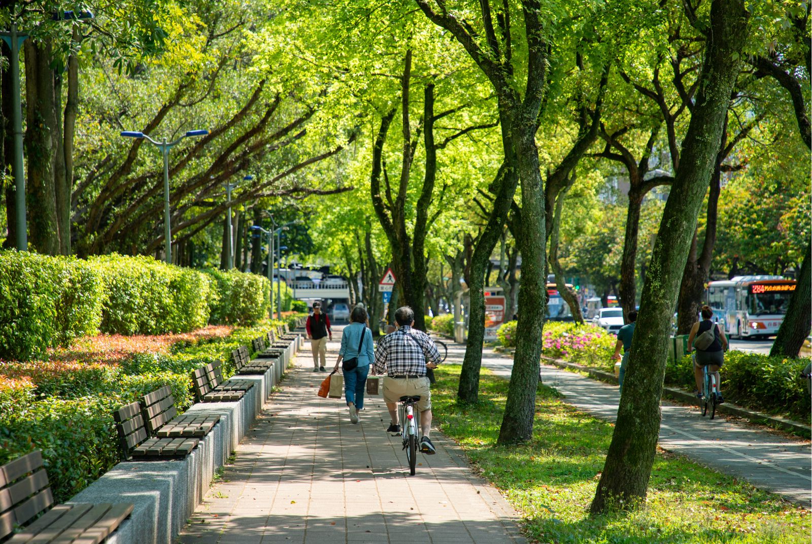高齡友善城市-慢老城市調查-高齡友善-無齡社會
