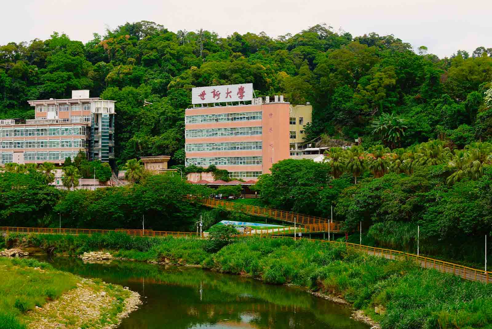 世新大學-高等教育-教育-大學-自由-AI應用
